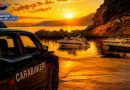 Vibonese blindato nel weekend: arresto a Pizzo, sequestri e caccia ai coltivatori di cannabis