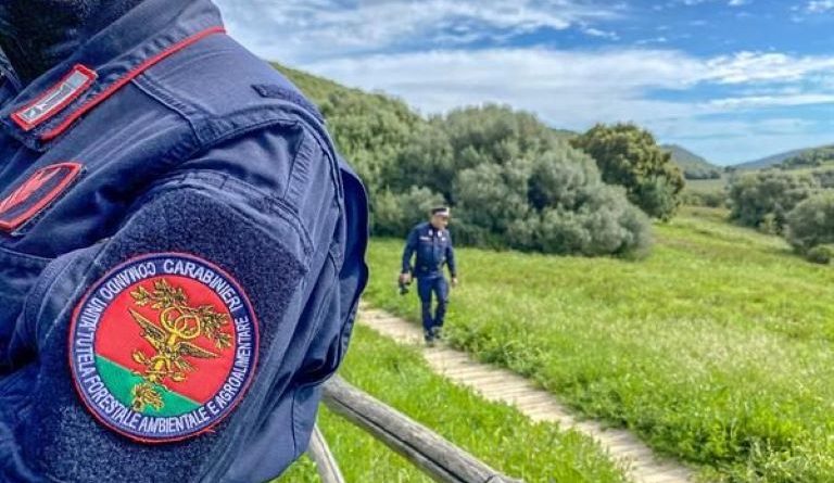 Rende, appicca un incendio ma non sa che un drone lo sta filmando: denunciato