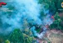 VIDEO – Mileto, sorpreso dal drone regionale ad appiccare un incendio: arrestato un quarantanovenne