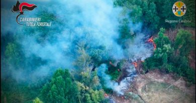 VIDEO – Mileto, sorpreso dal drone regionale ad appiccare un incendio: arrestato un quarantanovenne