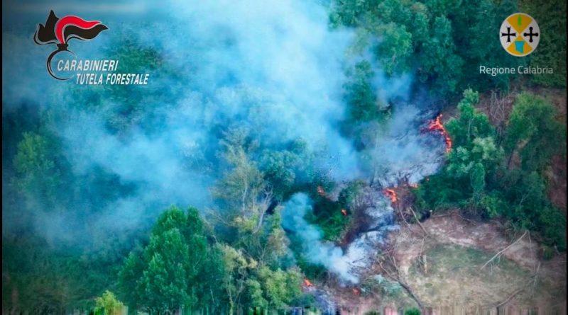 VIDEO – Mileto, sorpreso dal drone regionale ad appiccare un incendio: arrestato un quarantanovenne