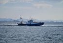 Crisi in Medio Oriente, la Regione scende in campo: al via i risarcimenti per pesca e acquacoltura