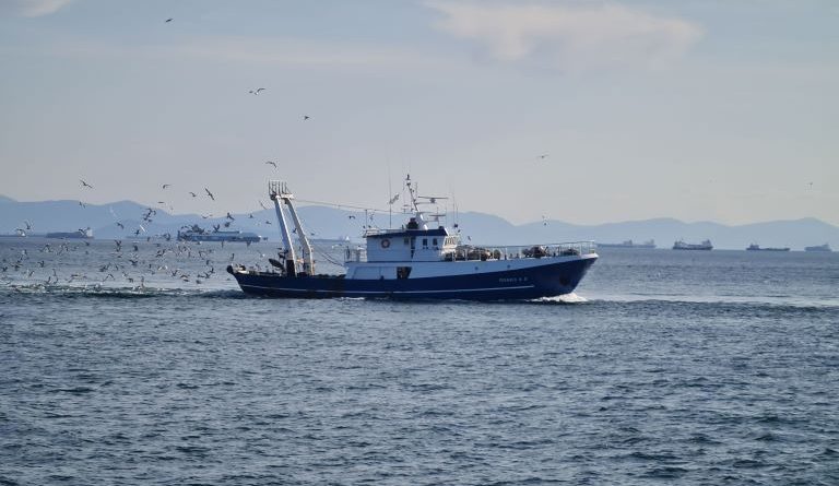 Crisi in Medio Oriente, la Regione scende in campo: al via i risarcimenti per pesca e acquacoltura