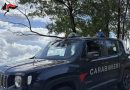 BAGNARA CALABRA — Violenta rissa in centro: scattano cinque Daspo urbani e sei denunce