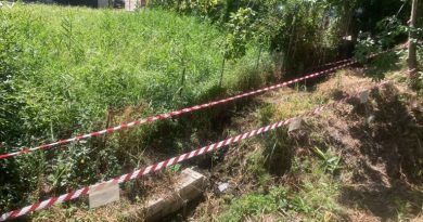 Inquinamento a Cotronei, sversava oli esausti sul terreno: denunciata la titolare di un’officina