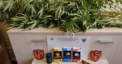 Coltivava marijuana sul balcone di casa: denunciato un 45enne a Petilia Policastro
