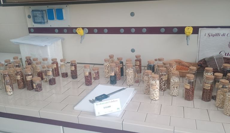 La biodiversità torna a tavola: a Molarotta la sfida per salvare i sapori antichi della Calabria