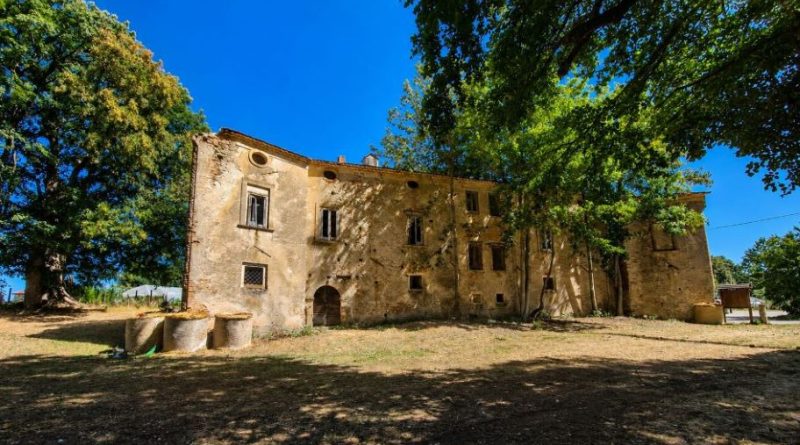 L’oro giallo dell’altopiano si interroga sul futuro: a Celico la filiera della “patata della Sila” si allea per blindare valore e identità