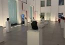 Rara Avis chiude al MArRC: a Reggio Calabria l’ultima tappa della ricerca di Antonio Affidato