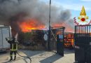 Fiamme all’Oasi Argo di Cirò Marina: la Lega Italiana Difesa Animali e Ambiente (LEIDAA) invia aiuti – l’Onorevole Michela Vittoria Brambilla chiede giustizia