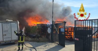 Fiamme all’Oasi Argo di Cirò Marina: la Lega Italiana Difesa Animali e Ambiente (LEIDAA) invia aiuti – l’Onorevole Michela Vittoria Brambilla chiede giustizia