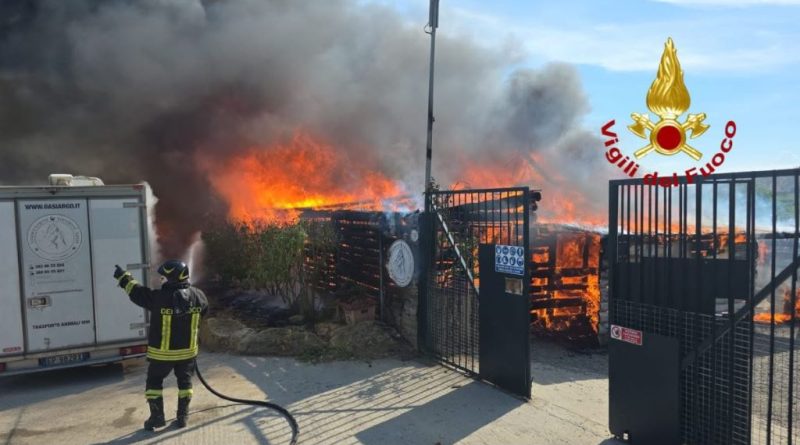 Fiamme all’Oasi Argo di Cirò Marina: la Lega Italiana Difesa Animali e Ambiente (LEIDAA) invia aiuti – l’Onorevole Michela Vittoria Brambilla chiede giustizia