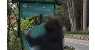 Giallo a Villaggio Mancuso: sfregiati i cartelli della storia. È scontro sul web