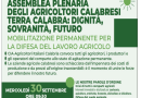 L’agricoltura in Calabria sul piede di guerra: Cia proclama lo stato di agitazione permanente