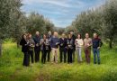 Olio Lametia DOP, il Consorzio chiama a raccolta i produttori: «Più certificazione per battere la volatilità dei prezzi»