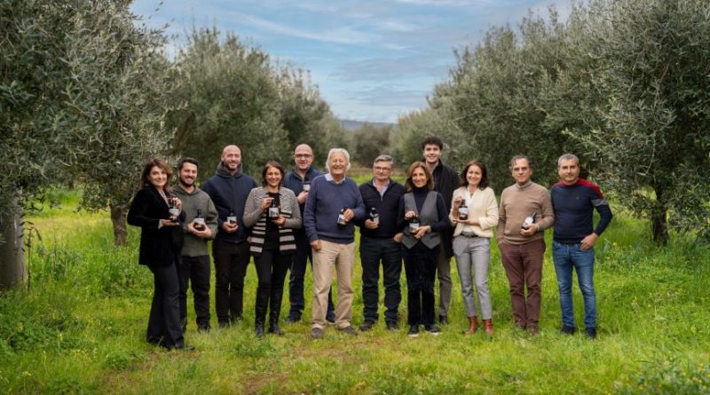 Olio Lametia DOP, il Consorzio chiama a raccolta i produttori: «Più certificazione per battere la volatilità dei prezzi»