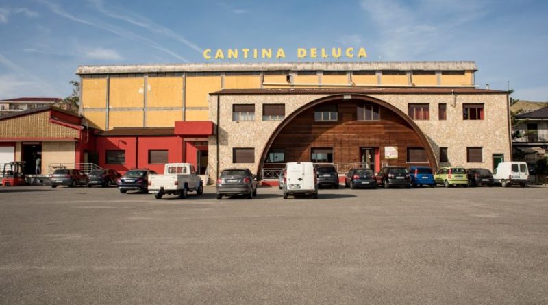 Sinergia vincente tra Comune di Melissa, Produttori e Cantine De Luca. Tonnellate di uva salvate dal rischio di essere messe al macero.