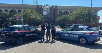 Cittadino straniero espulso e rimpatriato nel paese d’origine