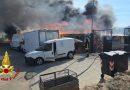 Inferno di fuoco all’Oasi Argo: distrutti i mezzi dei volontari, morti sei cani disabili