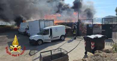 Inferno di fuoco all’Oasi Argo: distrutti i mezzi dei volontari, morti sei cani disabili