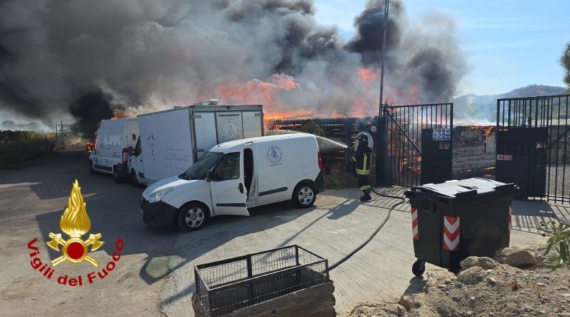 Inferno di fuoco all’Oasi Argo: distrutti i mezzi dei volontari, morti sei cani disabili