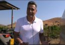 VIDEO – Dai Vigneti Antichi al Futuro del Vino: Il Viaggio Sensoriale di Cantine De Luca