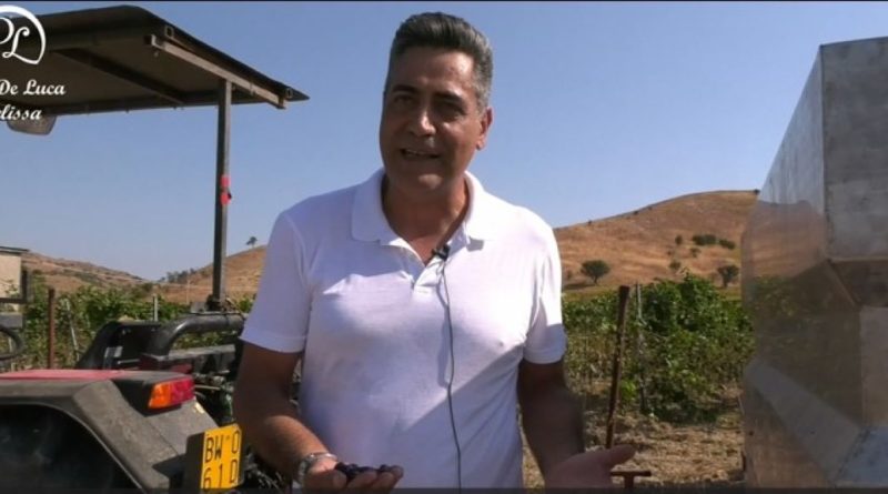 VIDEO – Dai Vigneti Antichi al Futuro del Vino: Il Viaggio Sensoriale di Cantine De Luca