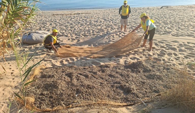 Isola Capo Rizzuto, la Posidonia rinasce con il progetto “Re.D.”: biostuoie e cuscini ecologici per salvare le dune