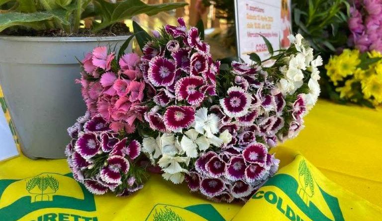Fiori eduli, Coldiretti Calabria: iva dal 22% al 4% per cento apre nuove opportunità per le imprese