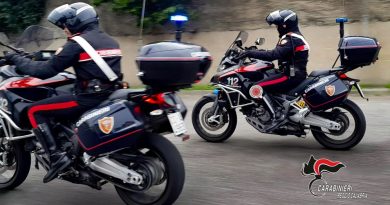 Siderno, arma clandestina, droga e fauna protetta: i Carabinieri arrestano una donna