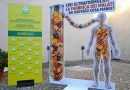 Cibo ultra-processato, la battaglia di Coldiretti si sposta a Bruxelles: “Class action e ricorso alla Corte di Giustizia UE per tutelare la salute”