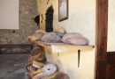 Cerchiara, il pane con la «gobba» che profuma di storia e montagna