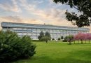 Polo Oncologico Regionale: perché Lamezia Terme è la scelta strategica per la Calabria