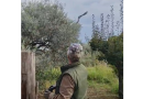 Salvato dalle erbacce e restituito al cielo: a Caulonia la  storia a lieto fine del falco liberato