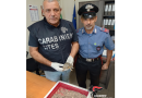 Pellaro, blitz dei Carabinieri: droga, armi e fauna protetta. Arrestato un giovane, sequestrata una pistola clandestina