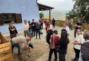 Catanzaro, grande partecipazione al laboratorio “Fertile Rifiuto LAB” su compostaggio e sostenibilità
