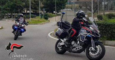 REGGIO CALABRIA – Blitz dei Carabinieri in città: scoperta ‘serra casalinga’ di marijuana, arrestato un giovane