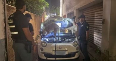 Dalla Sicilia con un chilo di cocaina nel bagagliaio: arrestato dalla Polizia a Villa San Giovanni