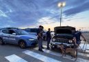 Villa San Giovanni, fermato agli imbarchi con un chilo di cocaina: incastrato dal fiuto del cane Pablo