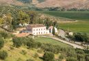 Il vino che si fa cultura: Tenuta Rosaneti apre le porte per il Calabria Factory Fest