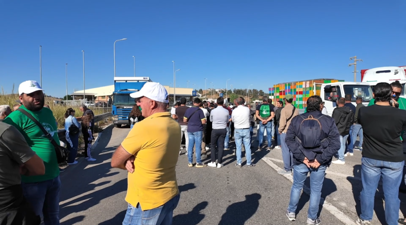 Fermo camionisti al Sud, tavolo al Ministero al palo. Tiriolo: «Il dialogo resta l’unica via per soluzioni concrete» Fermo camionisti al Sud, tavolo al Ministero al palo. Tiriolo: «Il dialogo resta l’unica via per soluzioni concrete»
